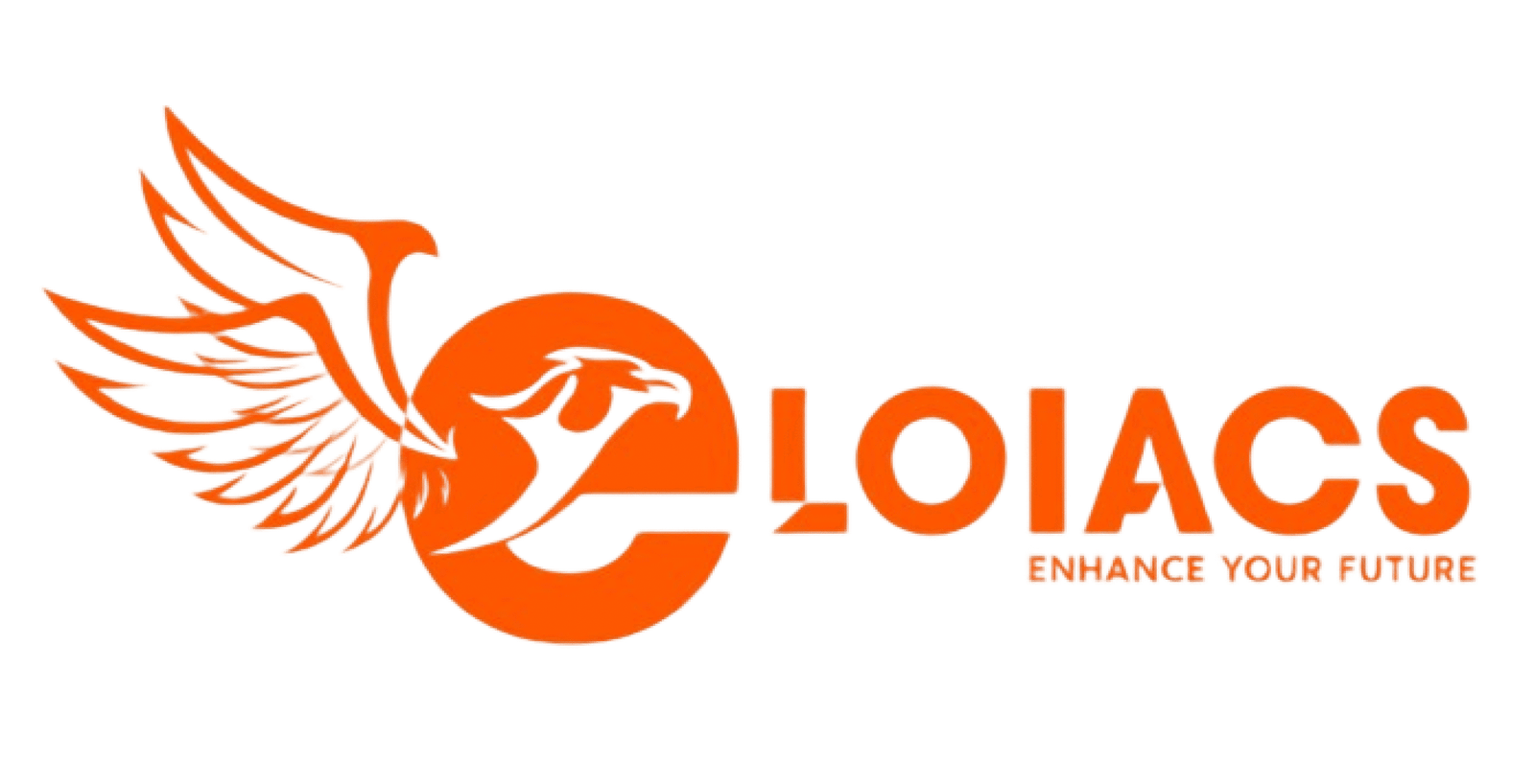 Best IT Company in the World